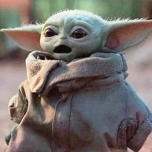 Meet your Posher, Max